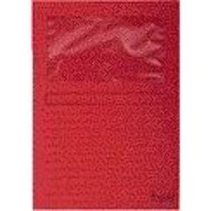 Exacompta - Venstermap Forever L-model 120gr rood 100 stuks - Afbeelding 1 van 1