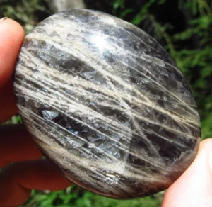 SCHWARZER MONDSTEIN SILBERBLITZ WUNDERSCHÖNER POLIERTER KRISTALL PALMSTEIN MADAGASKAR *2 - Bild 1 von 10