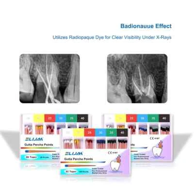 牙科 Gutta Percha Points Endo 0.02/.04/.06 锥适用于根管 15-40 45-80 全新 — 第 1/4 张图片