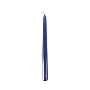 Papstar Candela Lampadario Blu Scuro Diametro 22mm L 250mm 50 Pezzo 17965 - Bild 1 von 1