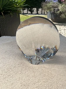 Beautiful Swarovski Crystal Shell Shell Vase 719220 by Darko Mladenovich 15cm - Picture 1 of 9