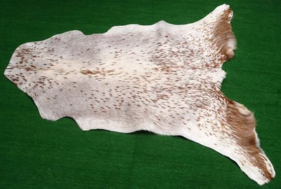 GOAT Western taxidermy Hide Rug Natural Pattern Fur Goat Hide Rode SA-1253 - Image 1 of 3