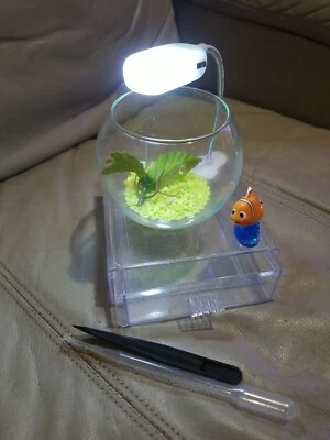  Mini 4 Inch Glass Bowl Beta Fish Tank With Storage Base Led Light Nemo Deco Set - Image 1 of 4