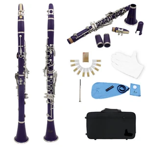 Concert 17 Keys Bb Clarinet Set Student Intermediate March School Band Clarinets - Picture 1 of 6