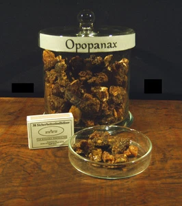Opopanax - Harz (Commiphora holtziana) 20gr - Bild 1 von 1