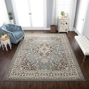Glendale Traditional Medallion Floral Rugs Naturally Stain Resistant Area Rug