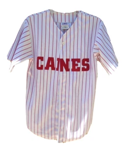 Teamwork Canes SGA #15 Pinstripes Baseball Jersey Men Size 38-40 White - Picture 1 of 4