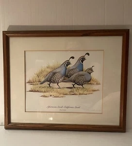 Afternoon Stroll California Wachtel 3. Auflage signiert und nummeriert R.L. Kothenbeu - Bild 1 von 4