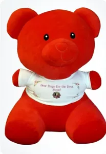 Personalized Mother's Day/bday/graduation Teddy Bear plush/Limited Quantity!!! - Picture 1 of 3