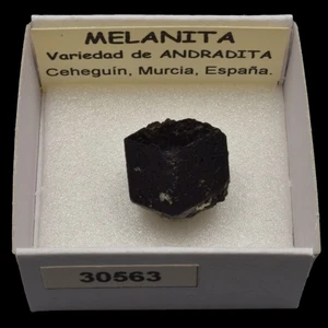 MELANITA variedad de ANDRADITA (Ceheguin, Murcia, España) #30563 / Melanite - Picture 1 of 1