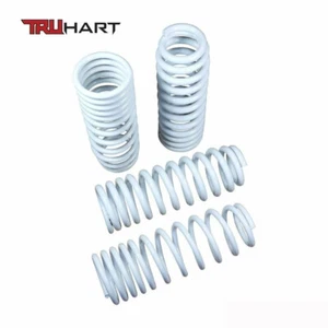 For 08-12 Honda Accord Acura TSX TL  R-2 F-1.9 TruHart Lowering Springs White - Bild 1 von 1