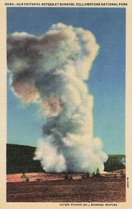 Vintage Old Faithful Geyser at Sunrise Yellowstone National Park Linen Postcard - Picture 1 of 2