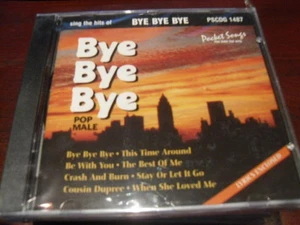 POCKET SONGS KARAOKE DISC PSCDG 1487 BYE BYE BYE POP MALE CD+G MULTIPLEX - Imagen 1 de 1