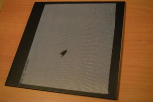 Mai 12 "Vczcvzx" 12" mini LP - harsh noise wall vomir the rita merzbow - Picture 1 of 3
