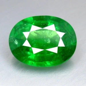 1,24 CTS 7x5 mm Ovalado, Fabuloso Fuego Brillante 100% Natural Tsavorita Verde Granate - Imagen 1 de 3