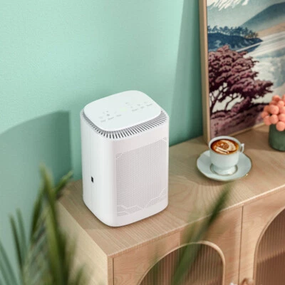 2200ml Dehumidifier w/Timer Air Purifier Portable for Condensation Moisture Damp - Image 1 of 4