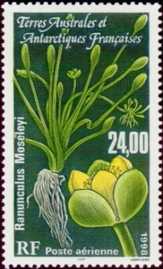 Timbre TAAF PA 146** neuf sans charnière - Imagen 1 de 1