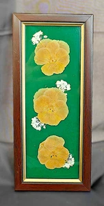 Vintage gerahmte getrocknete gepresste Blumen Stiefmütterchen - Made in Cumbria Handwerk, Siloth - Bild 1 von 10