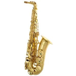 Yanagisawa A-WO1 UL Alto Saxophone | Unlacquered Finish I Made in Japan - Picture 1 of 14