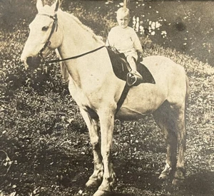 RPPC Baby On Horse Silver Gelatin Shows Tarnish Divided Back Back - Picture 1 of 3
