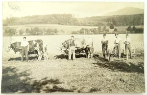 RPPC Young Men Cow Plow Postcard Vintage Snapshot Rural Farm Farmer Artistic - Picture 1 of 2