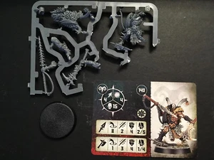 First Fang Single Untamed Beasts WARCRY Warband Warhammer Age of Sigmar Chaos - Picture 1 of 1