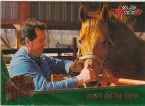 HARRY GANT DOWN ON THE FARM: 1994 WHEELS INSERT CARD # SP1 - Picture 1 of 2