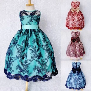 Floral Mesh Embroidery Toddler Junior Dress Wedding Pageant Graduation Birthday - Picture 1 of 34