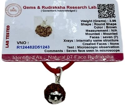 Embrace Inner Strength & Wisdom: Handmade Certified 7 Mukhi Rudraksha Pendant - Image 1 of 4