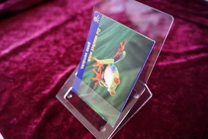 Tarjetero soporte soporte de poliestireno - Imagen 1 de 4