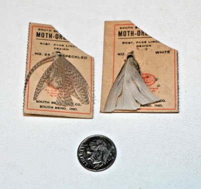 复古 South Bend 飞钓竿 Moth Orenos #24 Robt。 Page Lincoln Design NOS — 第 1/4 张图片