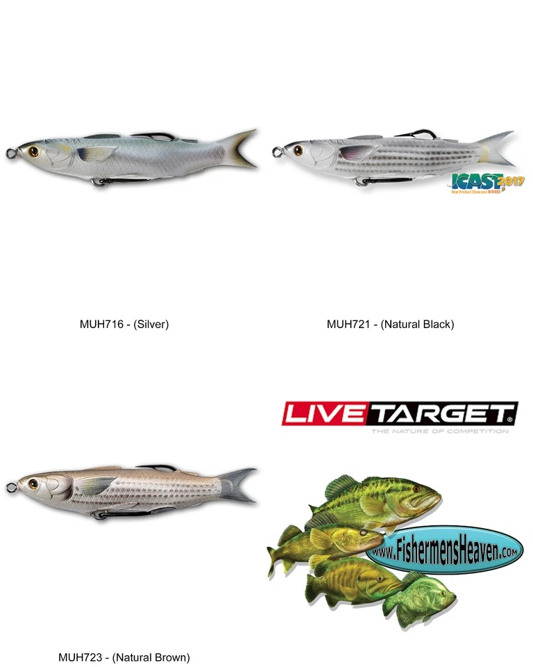 Live Target Mullet Topwater Hollow Body Walking Bait 4.5" (MUH115T) Any 3 Colors - Image 1 of 4