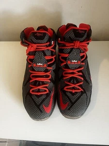 Lebron Court Vision 12 - Picture 1 of 8