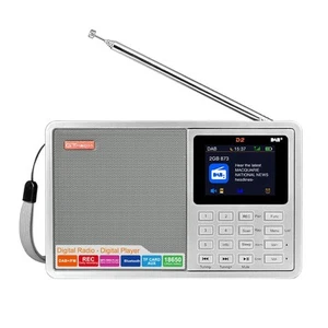Portable Radio FM/+ Digital Radio with RDS, 2.4Inch LCD Display, 606799 - Picture 1 of 10