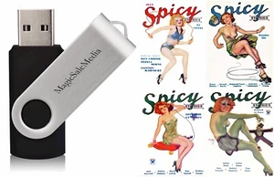 Spicy Stories - Daring Risqué Saucy Racy Naughty & Sexy - 9 Old Issues on USB - Imagen 1 de 13