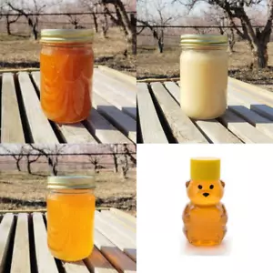 Elden Foods Honey Collection - Raw Creamed, Organic, Utah, & Baby Bear Set of 4 - Picture 1 of 13