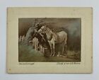 1926 Millhoff Art Treasures #40 Study of An Old Horse 123E