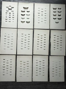 Lot Of 76 Morris Moths antique colored lithograph print Insect print - Picture 1 of 14