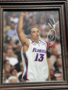 joakim noah auto 8x10. Florida Gators, Chicago Bulls. Pic Only NOT IN FRAME - Picture 1 of 5