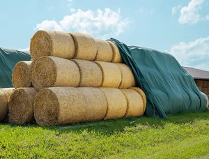 Agriplus - Telo Di Copertura, 9,8 X 12,50 M (122,5 M²), Utilizzo Versatile, Estr - Foto 1 di 12