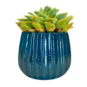 4" Ceramic Flower Planter, Ceramic Pot Planter, Indoor Ceramic Bowl, Housepla... - Picture 1 of 4