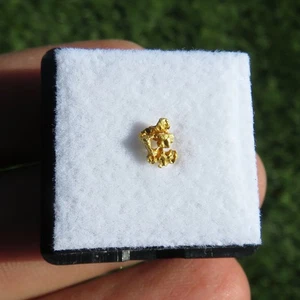 Mineralien *** NATÜRLICHER GOLDNUGGET Western Australia - Bild 1 von 2