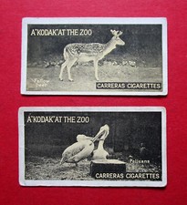 CARRERAS  2 VINTAGE REAL PHOTO CIGARETTE CARDS  A KODAK AT THE ZOO No's  41 & 48