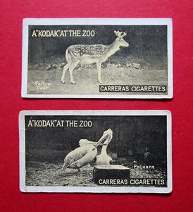 CARRERAS  2 VINTAGE REAL PHOTO CIGARETTE CARDS  A KODAK AT THE ZOO No's  41 & 48