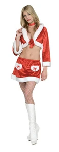 GALLETA DE NAVIDAD Dama Santa Disfraz Traje Conjunto Falda con Capucha Top XS 0 2 4 6 - Imagen 1 de 1