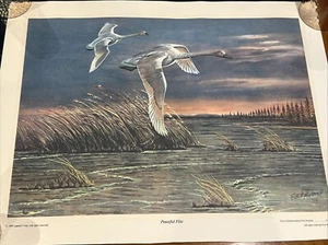 VINTAGE ARTWORK NUMBERED PRINT EVEL KNIEVEL 1979 PEACEFUL FLITE MOTORCYCLE JUMP - Imagen 1 de 7