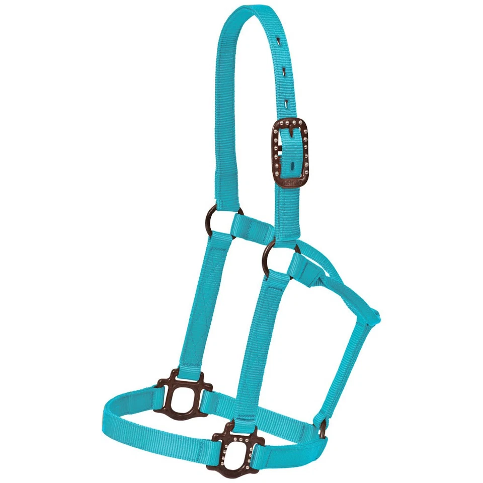 MUSTANG Antiguo 1" Triple Poli Nylon Puntos Halter con Herrajes Duraderos - Colores Foto 1 de 1