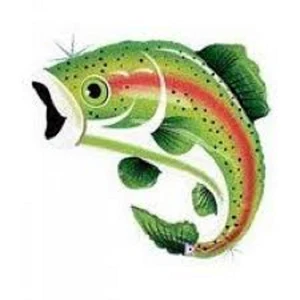 XL 29" Trucha Arco Iris Super Forma Mylar Lámina Globo Pesca Fiesta Decoración - Imagen 1 de 1