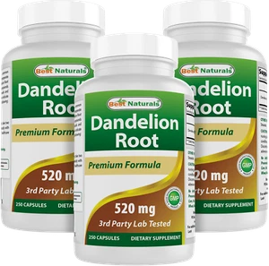 3 Pack Best Naturals Dandelion Root 520 mg 250 Capsules  - Picture 1 of 7