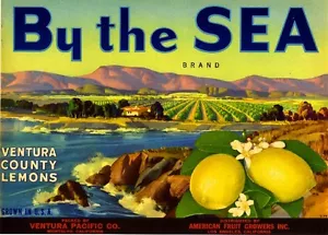 Montalvo Ventura County By the Sea Lemon Citrus Fruit Crate Label Art Print - Picture 1 of 1